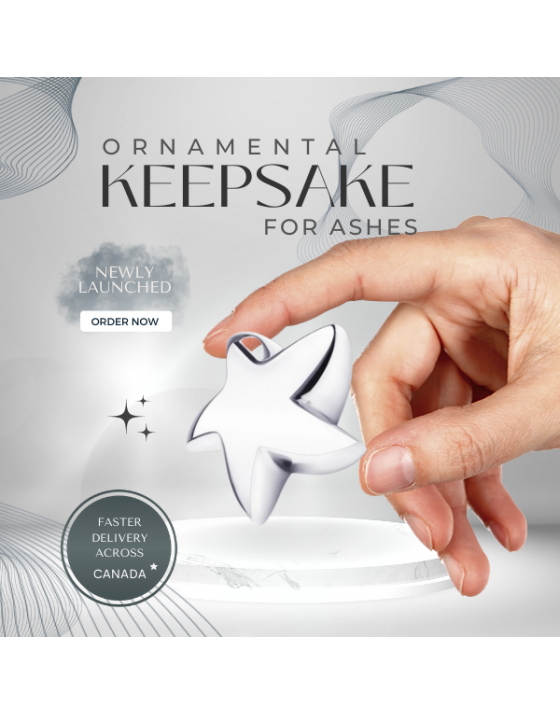 Bright Silver (Keepsake Star) Bright Silver (Keepsake Star)